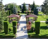 Sufrageria verde – amenajarea parcului Liceului Tehnologic Special Bivolarie